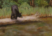 fishing_bear