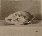 skull_side