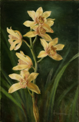 cymbidium6