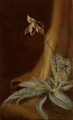 paph_ward_ii